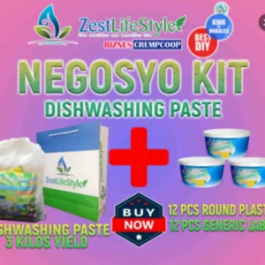 DISHWASHING PASTE DIY NEGOSYO KIT