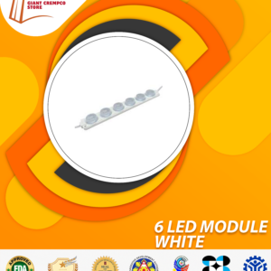 6 LED MODULE WHITE